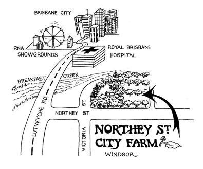 Landscaping - Edible Garden