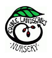 Landscaping - Edible Garden